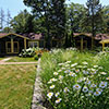 FireFly Resort - New Buffalo Vacation Rentals