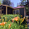 FireFly Resort - New Buffalo Vacation Rentals