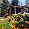 FireFly Resort - New Buffalo Vacation Rentals